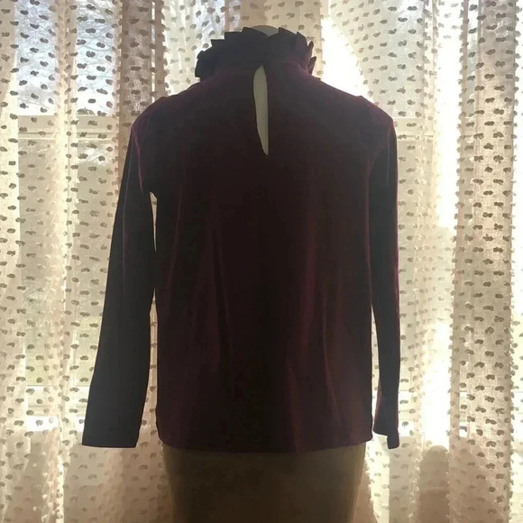 Banana Republic Mixed Media Ruffle Mock-Neck Top - Picture 6 of 14